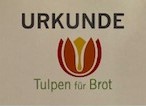 Thumbnail for Teilnahme an der Aktion „Tulpen für Brot“ im Schuljahr 2021/22