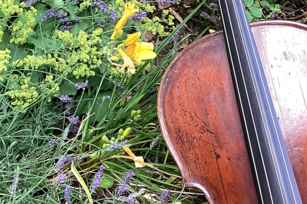 Thumbnail for Ein Cello reist mit