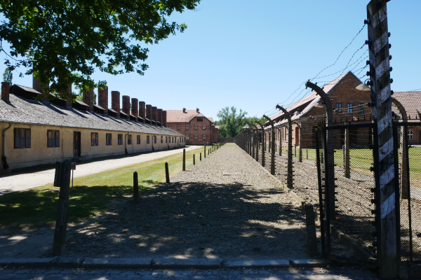 Thumbnail for Der Vergangenheit ein bisschen näher